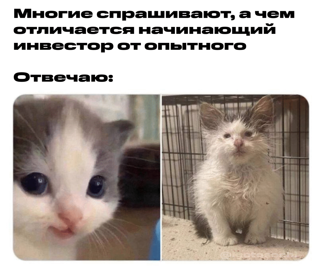 Последние новости СВО на 18.02.2025. Карта боевых действий на Украине на сегодня
