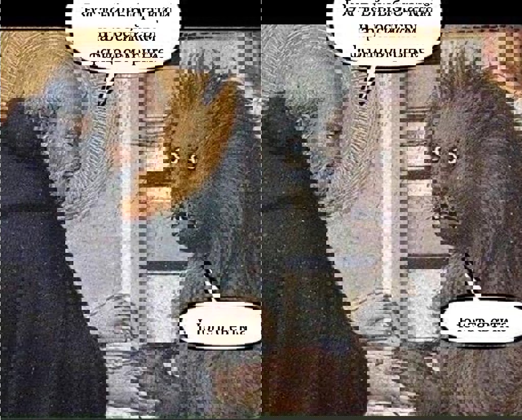 Форум по акции Русагро RAGR | Профит – БКС Экспресс