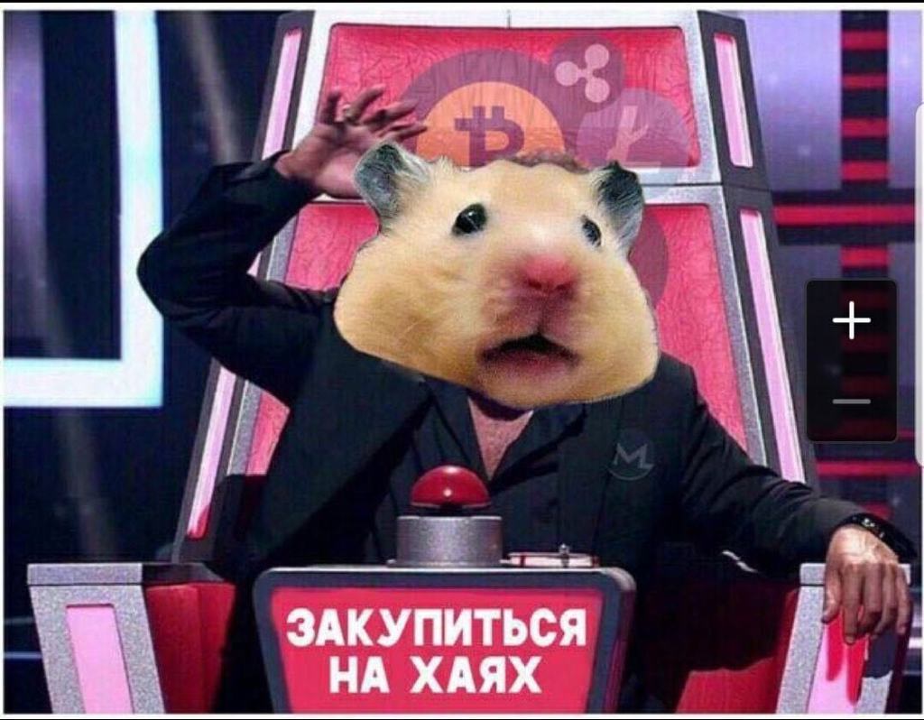 Хомяк мем крипта. Хомяк трейдер. хомяк инвестор. биржевой хомяк. хомяк в инвестициях.